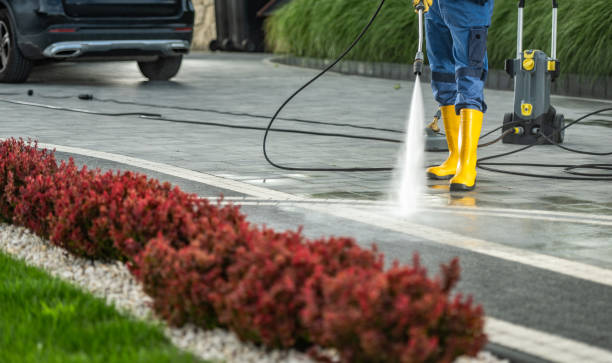 Best Factory Floor Cleaning  in Weyers Cave, VA